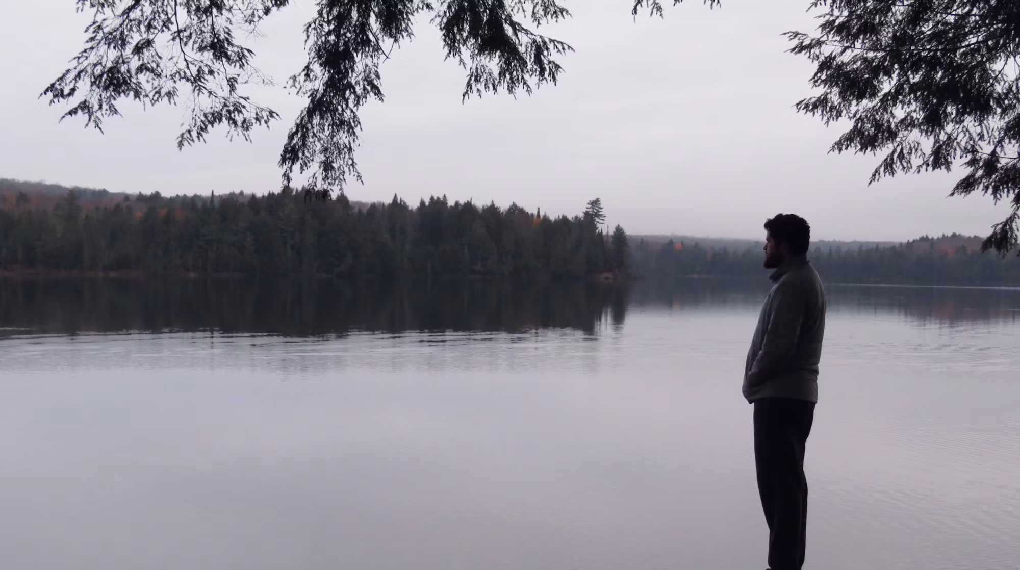 Exploring the World of Foraging: A Beginner’s Guide